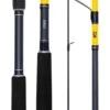 DAIWA SEABASS 110XH SPIN ROD