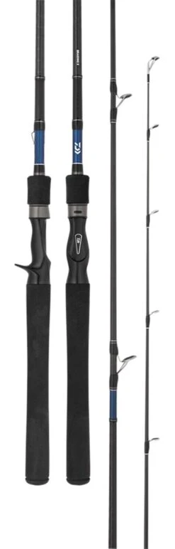 DAIWA 21 TIERRA 601HFB BAITCAST ROD
