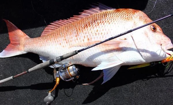 N.S EXPLORER C582 LIGHT JIGGING BAITCAST ROD 2 N.S EXPLORER C582 LIGHT JIGGING BAITCAST ROD - Image 2