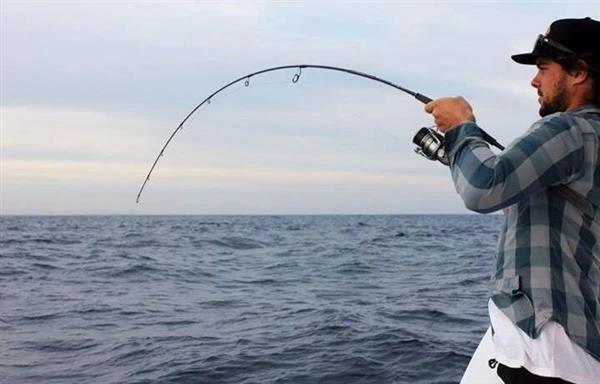 N.S EXPLORER C582 LIGHT JIGGING BAITCAST ROD 1 N.S EXPLORER C582 LIGHT JIGGING BAITCAST ROD