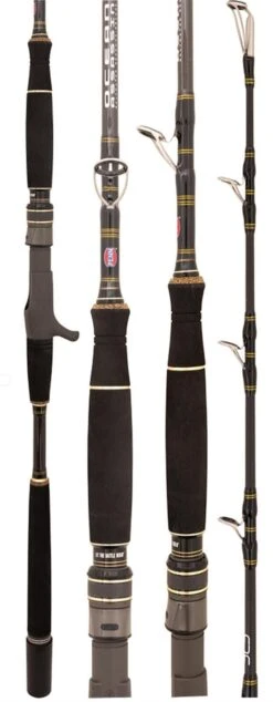 PENN OCEAN ASSASSIN 501MHOH JIG OVERHEAD ROD