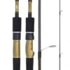DAIWA 20 AIRD X 601HFS SPIN ROD