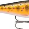 Rapala BX Minnow Casting