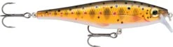 Rapala BX Minnow Casting