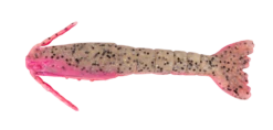 Berkley Gulp Shrimp 3 Inch Soft Plastic Lure 30 Berkley Gulp Shrimp 3 Inch Soft Plastic Lure -Sports Fishing Berkley Gulp Shrimp Soft Plastic Pink Belly Shrimp f7ce0203 59bf 4b33 bb52 915784537a35