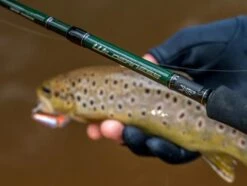 DAIWA 20 WILDERNESS 765HFS SPIN ROD -Sports Fishing DAIWILDNTRVL 2