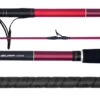 Daiwa Sensor Surf Spin Rod