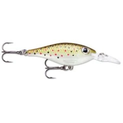 Sports Fishing -Sports Fishing F11178 Brown Trout 01