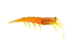 Pro Lure Prolure Clone Prawn Soft Plastic Lure 92mm -Sports Fishing ProlureClonePrawnSoftPlastic MotorOil a1e43163 9f59 4019 9fdf 2eb92cdd65f0