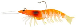 Zerek Absolute Shrimp 3.5 Inch Soft Plastic Lure 21 Zerek Absolute Shrimp 3.5 Inch Soft Plastic Lure -Sports Fishing TR Absolute Shrimp 8a41e382 6efa 4254 ad34 0a993b081083