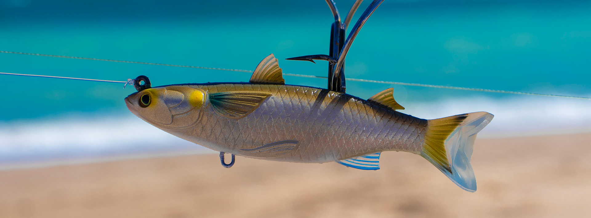 Sports Fishing -Sports Fishing banner 1