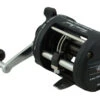 Shimano Charter Special Overhead Reel - TR200LD