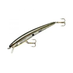 Rebel Tracdown Ghost Minnow -Sports Fishing td57 542 1 tennesse shad